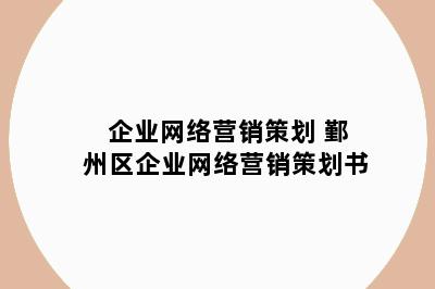 企业网络营销策划 鄞州区企业网络营销策划书